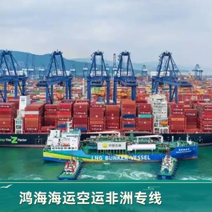 Logística de Hon Hai en África, Transporte Marítimo y Aéreo Puerta a Puerta con Despacho de Aduanas e Impuestos Incluidos, Carga a África - Product Image 5