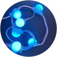 Module Rgbw couleur unique 30mm 12V Lumières de fête permanentes Led Pixel Point Light