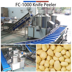 Máquina Industrial de Limpieza de Patatas con Cepillos/Cuchillas Fengxiang 0.5-1t/h, Máquina Automática Personalizada para Pelar y Pulir Patatas - Product Image 3