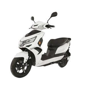 싼 모터 scooter2000w 전기 스쿠터 2 좌석 전기 스쿠터 오토바이 속도 판매