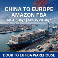 Agent d'expédition maritime professionnel FBA Amazon DDP pas cher vers les États-Unis CA - Transitaire maritime direct