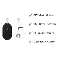Modul Suara Sensor Aktif Cahaya Berkualitas Tinggi dengan Chip Musik yang Dapat Diunduh melalui USB untuk Kartu Ucapan