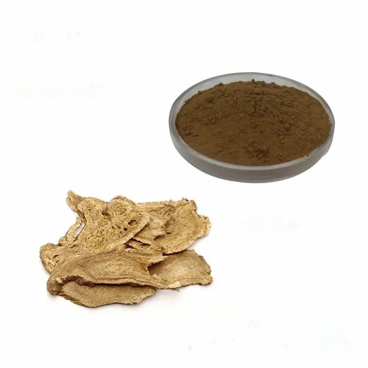 Factory supplies high-quality Costus root extract powder Radix Aucklandiae Extract