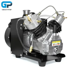 GP Electric Diving Pump High Pressure 4500psi 300bar 30mpa Double Cylinder 110V 220V PCP Air Compressor for Snorkeling Water