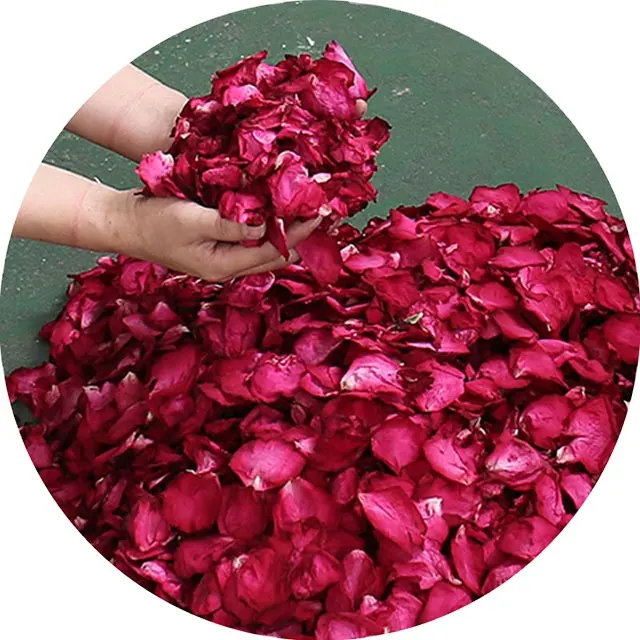 Pétalas de rosas de alta qualidade, 100% flores secas naturais, branco, vermelho, champanhe, rosa seca, para banho e festa de casamento