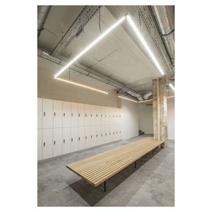 Armoire de rangement à panneaux solides avec compartiment verrouillable intégré au banc, idéale pour la rénovation des vestiaires des clubs sportifs et des écoles - Product Image 2