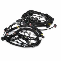 Arnés de Cableado General para Motor, Núcleo de Cobre, IP67, Conector Automotriz Personalizado, PVC