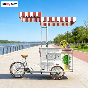 Chariot à main électrique à 2 roues en fibre de verre personnalisé, chariot de livraison de nourriture de rue, chariot de crème glacée avec congélateur d'affichage à vendre - Product Image 1