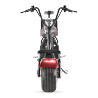 Scooter Eléctrico Plegable Inteligente Citycoco 2026, Resistente al Agua, 2000-3000W, Batería de Litio de 60V, 30-50Km/h, para Adultos