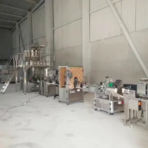Lini Produksi Otomatis Permen Biskuit Camilan Berat Dapat Mengisi Garis Mesin Kemasan untuk Makanan Pringle Chip Tabung