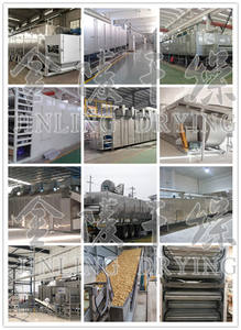 Equipo de secado de cinta de frutas de malla transportadora pequeña - Product Image 2