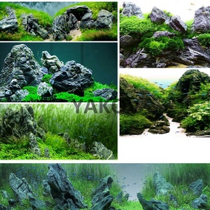Fabriek Levering Diverse <span class=keywords><strong>Aquarium</strong></span> Hardscape Decoratie Steen Rotsen - Product Image 4
