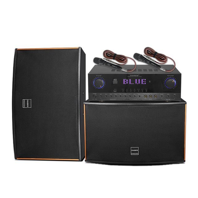 Professional Home KTV Karaoke Sound System Dsp Party Audio Speaker Equipment With Two Wireless Microphones Wooden Sound System