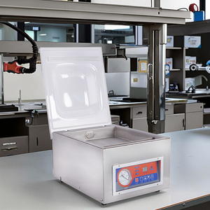 DZ-260A Best Price Small Desktop Vacuum Sealing Machine Food Vacuum Packing Machine - Product Image 1