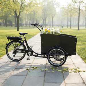 Vélo <span class=keywords><strong>cargo</strong></span> électrique polonais, batterie lithium 36V, tricycle à 3 roues avec porte-bagages arrière pour enfants et marchandises, entrepôt Europe - Product Image 1