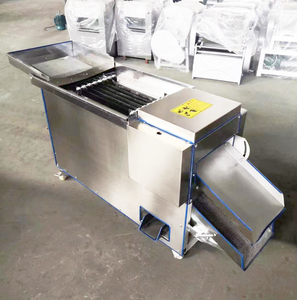 Máquina Cortadora de Pimientos de Acero Inoxidable, Máquina para Eliminar Semillas de Pimiento Rojo en Venta - Product Image 3