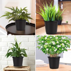 Vasi in Plastica Neri da 4 e 6 Pollici <span class=keywords><strong>per</strong></span> Semina e Fiori, Vendita all'Ingrosso <span class=keywords><strong>per</strong></span> Giardinaggio - Product Image 6