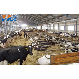 Trang trại đổ cho lưu trữ lợn/Bò/dê/gà thịt/giống/lớp/Gà nhà thép cấu trúc Chuồng Bò - Product Image 3