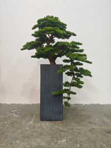 Artificial <b>Pine</b> Bonsai Tree with Planter, Lifelike Sculpted Foliage for Interior Designer Commercial & Residential Decor - Product Image 4
