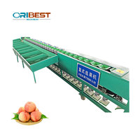 Hoge Precisie Mango Sorteren Machine Mango Fruit Sorteermachine