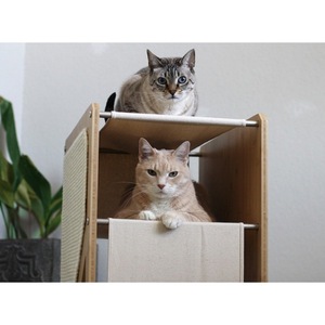 ต้นไม้แมวไม้ 2 ชั้น ขนาด 28x56x66 ซม. พร้อมเสาข่วนและที่นอนสำหรับแมว - Product Image 3