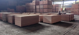 ไม้อัดเมอรันติอินโดนีเซีย ขนาด 4x8 ฟุต แข็งแรง ทนทาน เหมาะสำหรับงานตู้ งานปูพื้น และงานก่อสร้างทั่วไป - Product Image 6