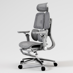 Silla Ejecutiva Ergonómica Moderna para Oficina, con Reposabrazos Cómodos, Giratoria, de Malla, con Soporte Lumbar - Product Image 1