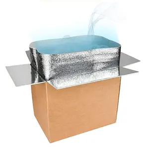 Caja de cartón de doble aislamiento con bolsa de aluminio, forro de bolsa grande, caja de envío
