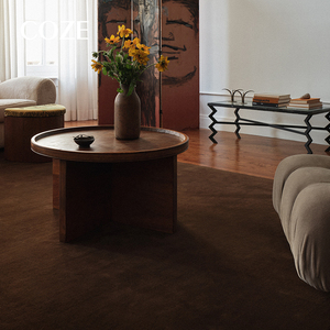 Alfombra Moderna de <span class=keywords><strong>Color</strong></span> Marrón Oscuro para Sala de Estar y Dormitorio, Tamaño y <span class=keywords><strong>Color</strong></span> Personalizables - Product Image 2