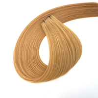 Extensions de cheveux indiennes en gros : Genius Weft invisible, volume accru, teint en usine, livraison rapide, personnalisable
