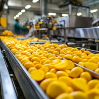 Turn-Key Oplossing Concentraat Drank Mangopulp Machine Passievrucht Ananas Pulp Druivensap Huisdier Vulmachines