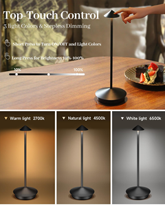 Living Room Bedroom <b>Bedside</b> Table Lamp Rechargeable Desk Lamp with Battery LED <b>Touch</b> 3 Dimming Metal Desk Lamp - Product Image 3