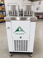 6000 stuks/dag ijslolly's maken / Professionele ijslollymachine