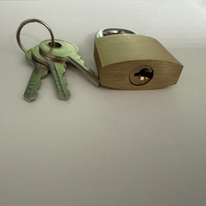 ठोस पीतल कीड पैडलॉक के लिए 25 मिमी चौड़ी लॉक बॉडी के साथ विभिन्न ताले कलियां - Product Image 5