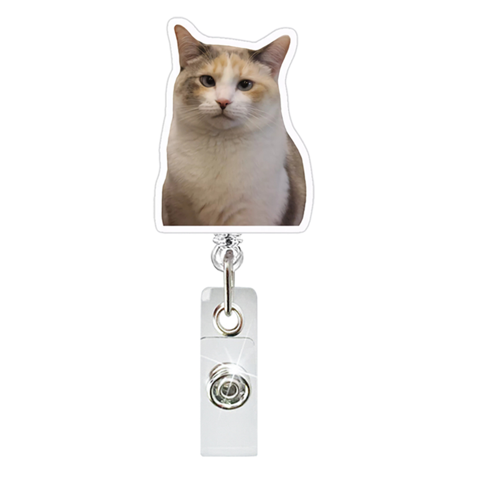 Chat assis