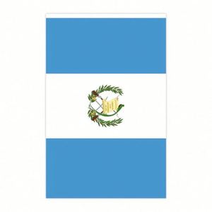 Custom Guatemala 10 Meters Bunting 30 <b>Flags</b> Guatemalan Rectangle Triangle String <b>Flags</b> for Election Events - Product Image 2