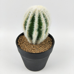Plantas Artificiales de Plástico al por Mayor, en Maceta, de Alta Simulación, Surtidas, Tropicales, en Maceta de Plástico, para Decoración de Mesa - Product Image 6