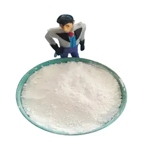 Titanium Dioxide Rutile Sơn Mài TiO2 Sơn Nền Nước