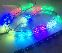 Lumière LED RGB E10 48 mm 12 LED SMD5050 à programmation automatique 24 V/110 V IP67 pour parcs d'attractions