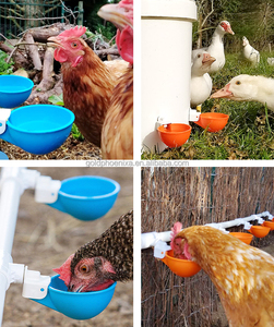 ถ้วยน้ำไก่แบบอัตโนมัติ YYC ขายดี ถ้วยน้ำสำหรับไก่ <span class=keywords><strong>นก</strong></span><span class=keywords><strong>กระทา</strong></span> ไก่งวง เป็ด - Product Image 6