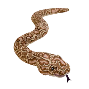 Large Plush Toy Cushion Boa Constrictor Glove Doll Snake-Shaped High-Simulation Burmese Python Cushion