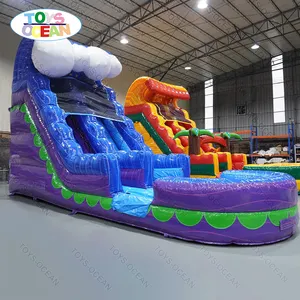 Commercial Backyard Slide Rental Inflatable Water Slide with Pool for Kids and Adults