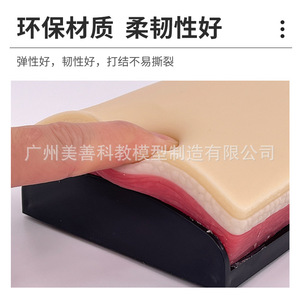 Modèle de simulation de peau en forme d'arc pour l'incision chirurgicale et la suture, modèle d'entraînement à la suture cutanée pour l'enseignement médical - Product Image 3
