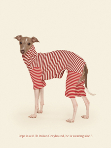Roupas para Cães Pequenos e Greyhounds, Novo Modelo Fofo de Algodão para Primavera, Camisetas de Manga Longa |   Roupas Personalizadas de Alta Qualidade por Atacado - Product Image 1