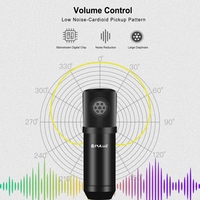 Studio PULUZ Professionelles Gesangsmikrofon-Set mit Schwenkarm, Metall-Schockhalterung und USB-Soundkarte