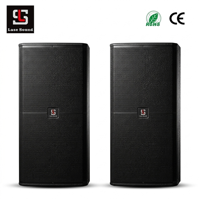 Dual 15 Inch Professional Loudspeaker 1600W High Power PA Speaker Audio System Sound for Outdoor Stage Live Event Concert