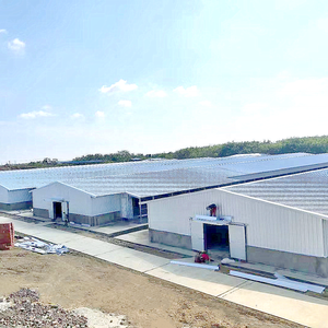 ฟาร์มสัตว์ปีกสังกะสีบ้านไก่โครงสร้างเหล็กโรงเก็บของสร้างเครื่องให้อาหารไก่ไข่และผู้ดื่มพลาสติกอัตโนมัติ - Product Image 1