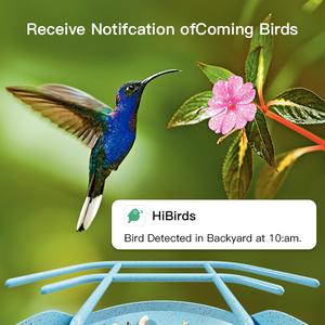 Chim thông minh xem camera tự động quay video chim và thông báo khi phát hiện chim - Product Image 3
