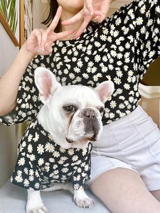 Robe en coton à imprimé animal mignon pour chiens et humains, tenue de loisirs d'été, style quotidien confortable, lavage à la main - Product Image 3