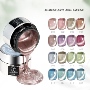 ZRKGEL superventas 16 colores ojo de gato UV Gel polaco curado rápido <span class=keywords><strong>con</strong></span> muestra gratis Etiqueta Privada colección de Gel brillante de moda - Product Image 2